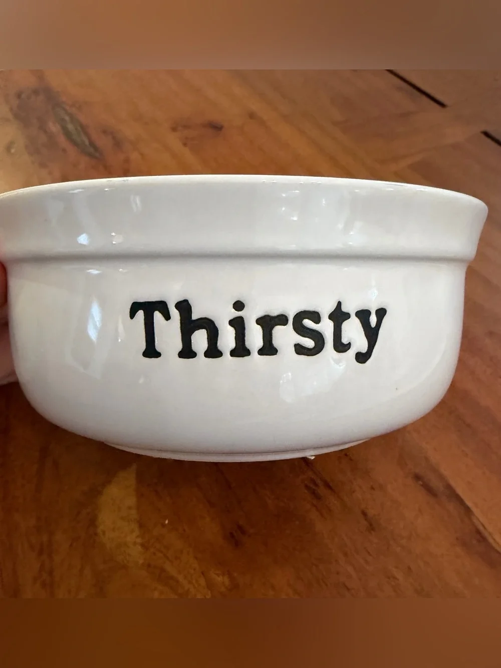 Signature Housewares Thirsty Ceramic Pet Dog Cat Bowl Double Sided Paw Print 6